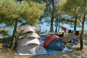 Camping Pinus **